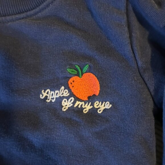 🍎 Hanna Andersson “Apple of My Eye” Sweatshirt – Size 3T 🍎 - Picture 2 of 3